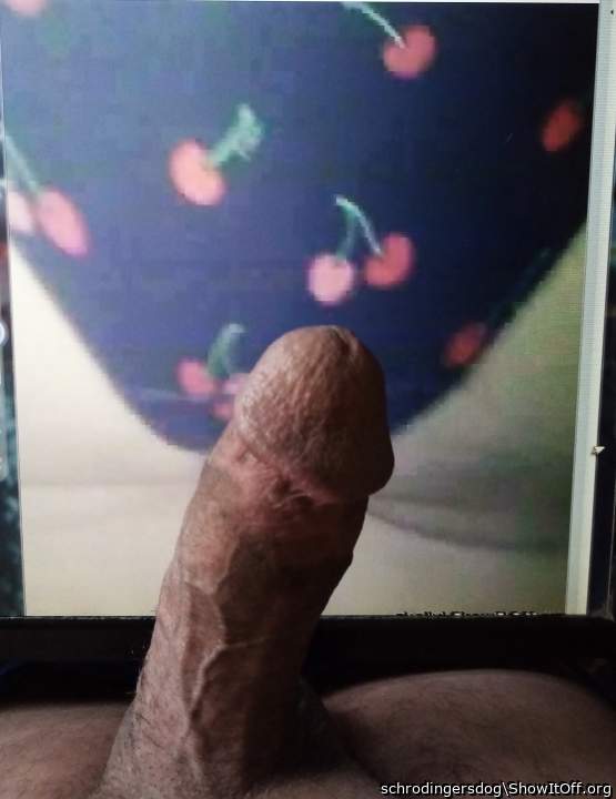 Photo of a meat stick from schrodingersdog