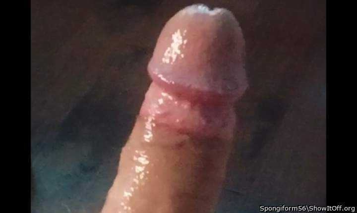 Photo of a pocket rocket from Spongiform56