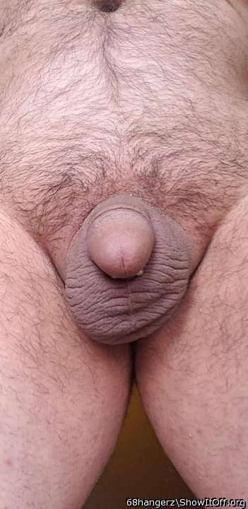 Photo of a penile from BALLZDIXNCLITZ