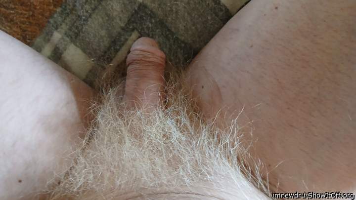 Been bleaching the pubes. Hope you like, no one at home appreciates them
