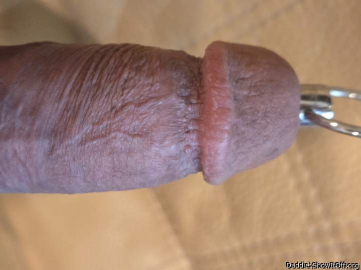 Corona of Glans Penis! :)