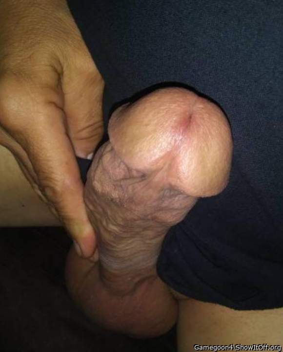 Photo of a hot dog from Gamegoon4