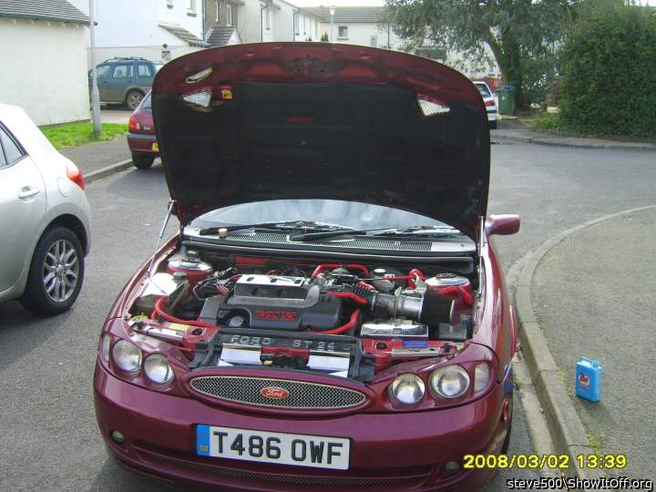 Photo of a private part from steve500