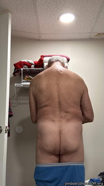 Photo of a weasel from jimbobi