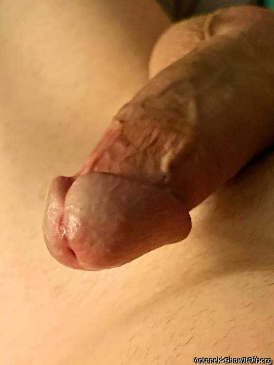 Photo of a short leg from Antonek