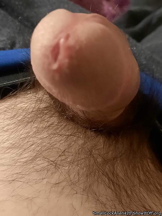 Photo of a penile from SmallCockAlien420