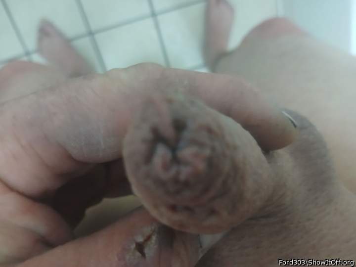 Photo of a wiener from Ford303