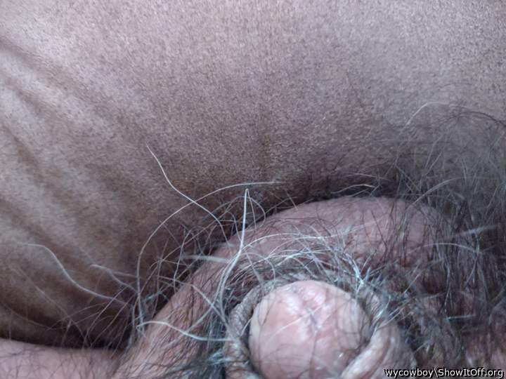 60 yr old cock in his nest