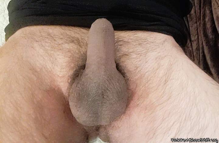 Photo of a python from KinkKev