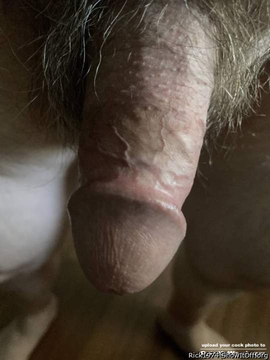 Photo of a middle leg from Rick1974