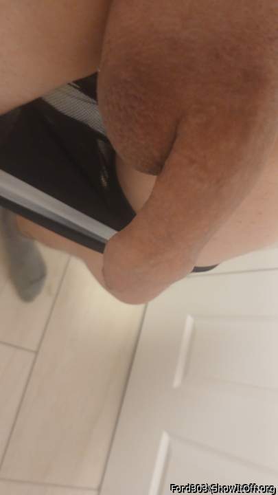 Photo of a lizard from Ford303