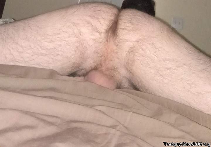 Photo of a wiener from Tiredguy