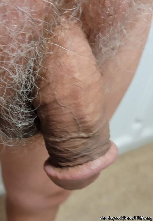 Photo of a penile from chubbycox