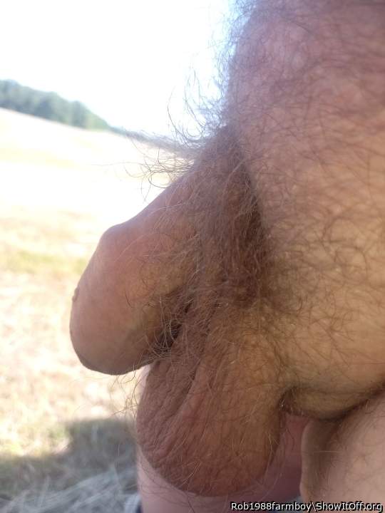 Photo of a phallus from Rob1988farmboy