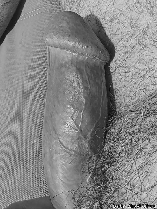 Veiny dick (BnW)
