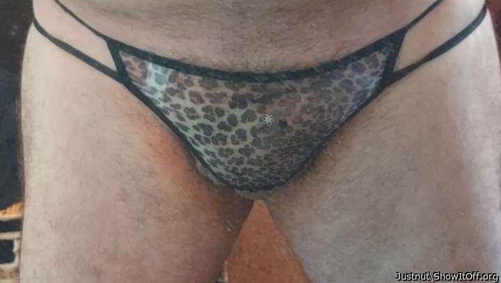 Photo of a penis from Justnut