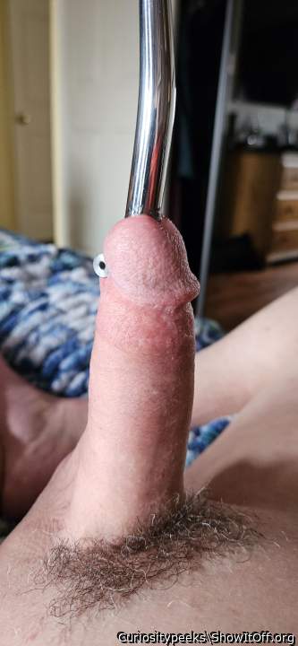 Photo of a schlong from Curiositypeeks