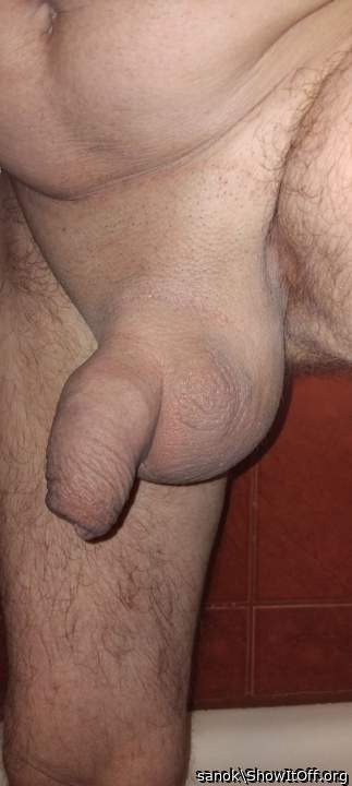 Testicles Photo from sanok