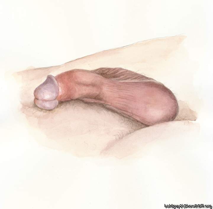 a watercolor of my penis at rest