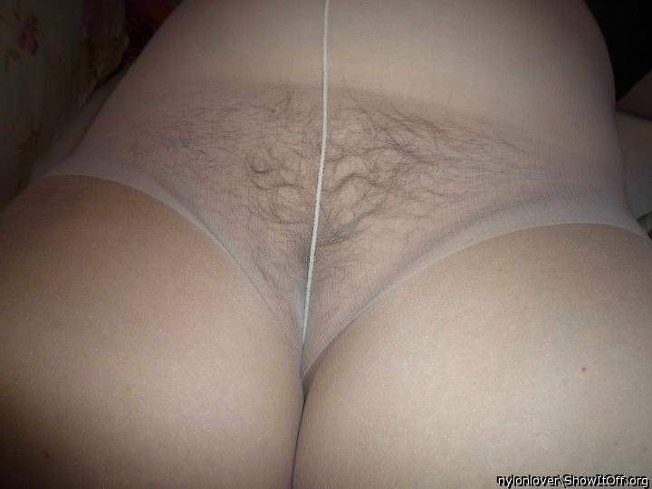 love to eat her pussy through her nylons