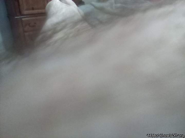 Adult image from 4438cr