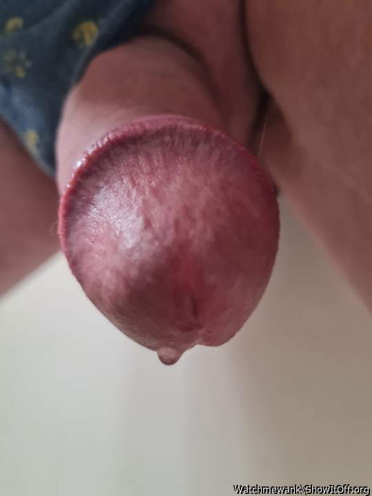 nice dripping dick  