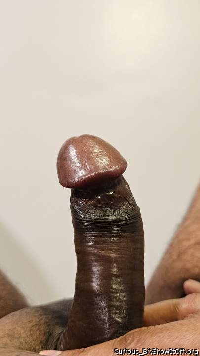 Photo of a ram rod from Curious_Bi