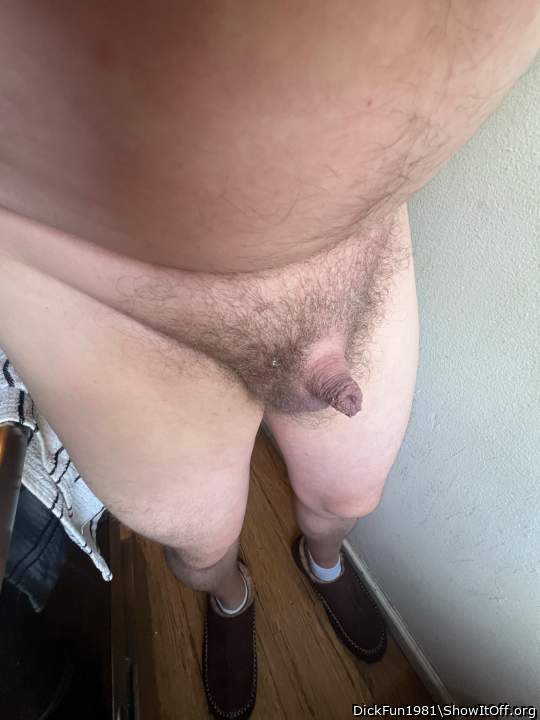 Photo of a horn from DickFun1981