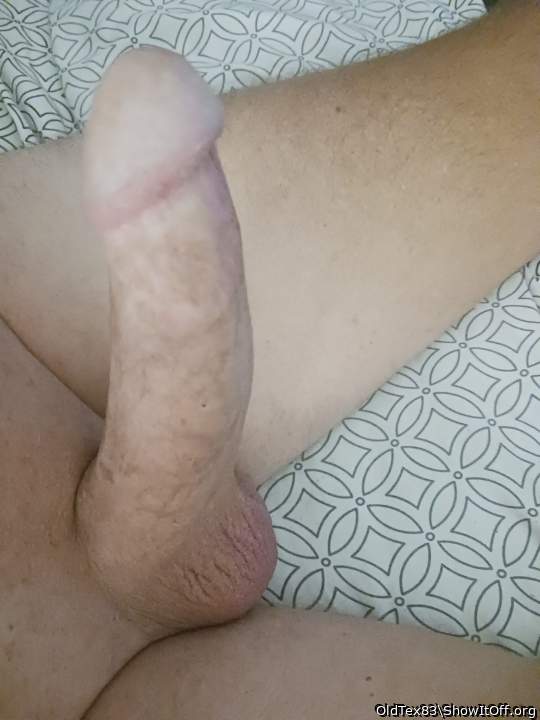 Photo of a horn from OldTex83