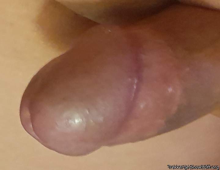 Photo of a stiffie from Trekkertje
