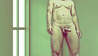 phallus