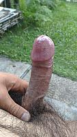 cock