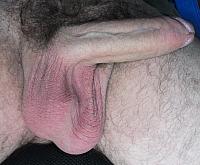 cock photo