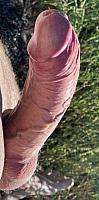 penile