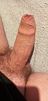 cock