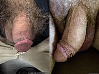 cock photo