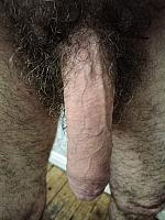 cock image