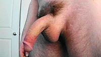 phallus