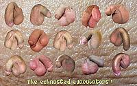 cock image