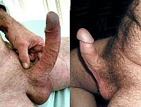 cock pic