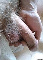 phallus