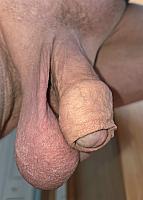 cock photo