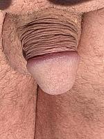 cock image