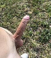 dick pic