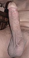 cock