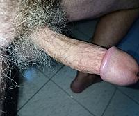 cock