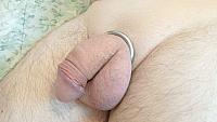 phallus