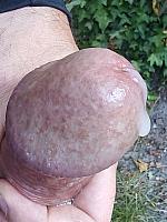 cock image