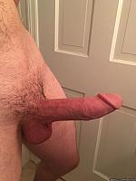 phallus