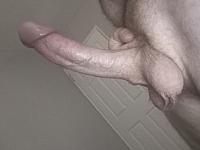 cock photo